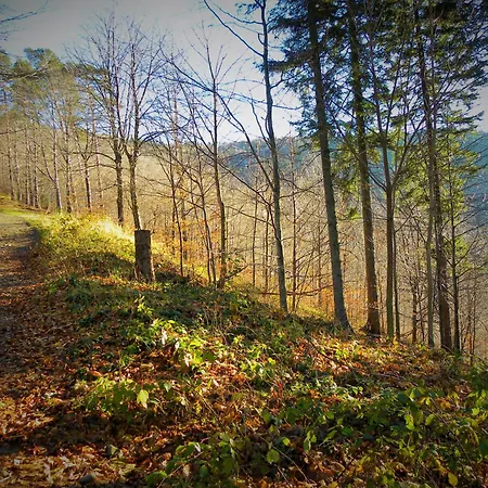 Appartamento Miodowa W Straconce