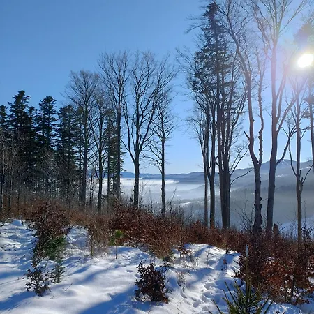 Miodowa W Straconce Appartamento *