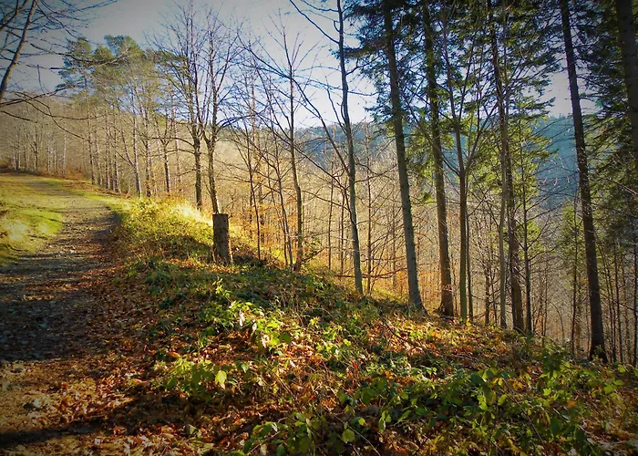 דירה Miodowa W Straconce