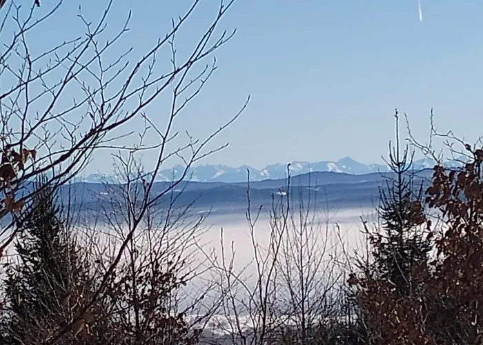 Miodowa W Straconce アパート *