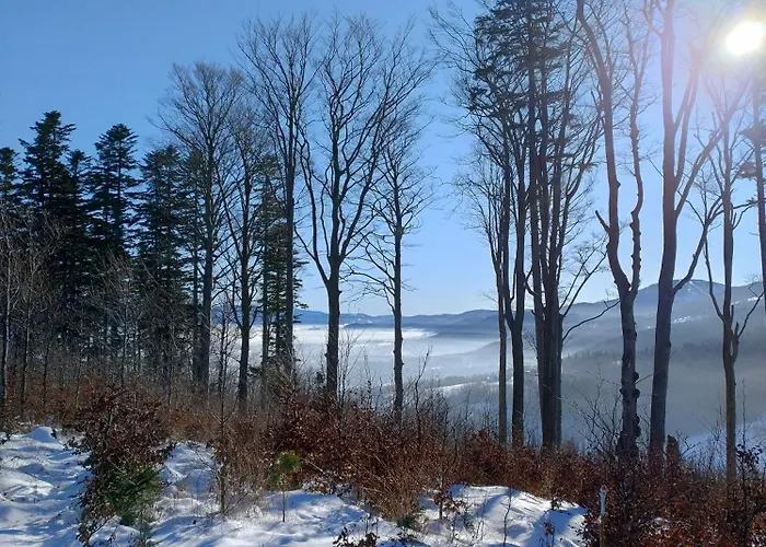 Miodowa W Straconce アパート *